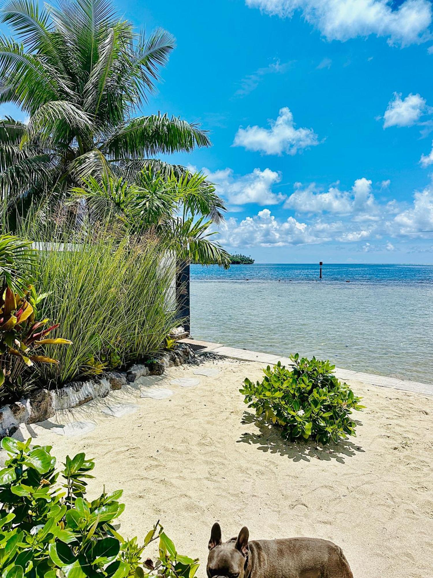 Pension Irivai Appartement Puatou 1 Chambre Bord De Mer Uturoa Exteriér fotografie