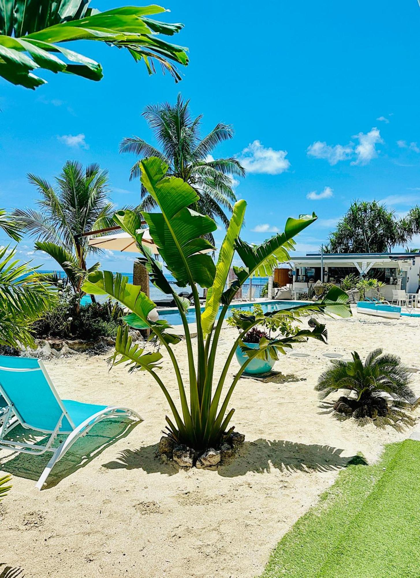 Pension Irivai Appartement Puatou 1 Chambre Bord De Mer Uturoa Exteriér fotografie